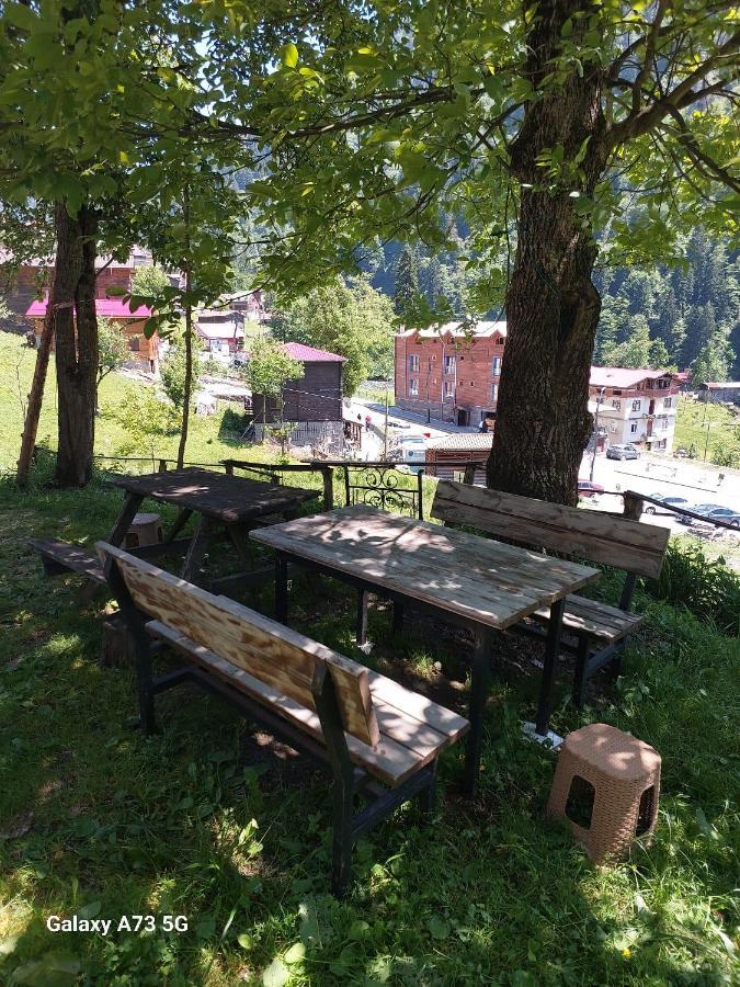 Villa Zafran Ayder Yaylasi Exterior foto